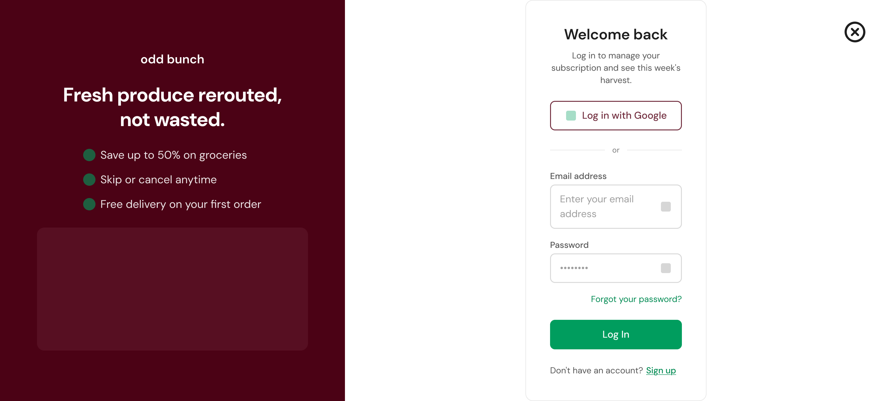 The hi-fi login screen for a returning subscriber, with Google and email options and a forgot-password link.